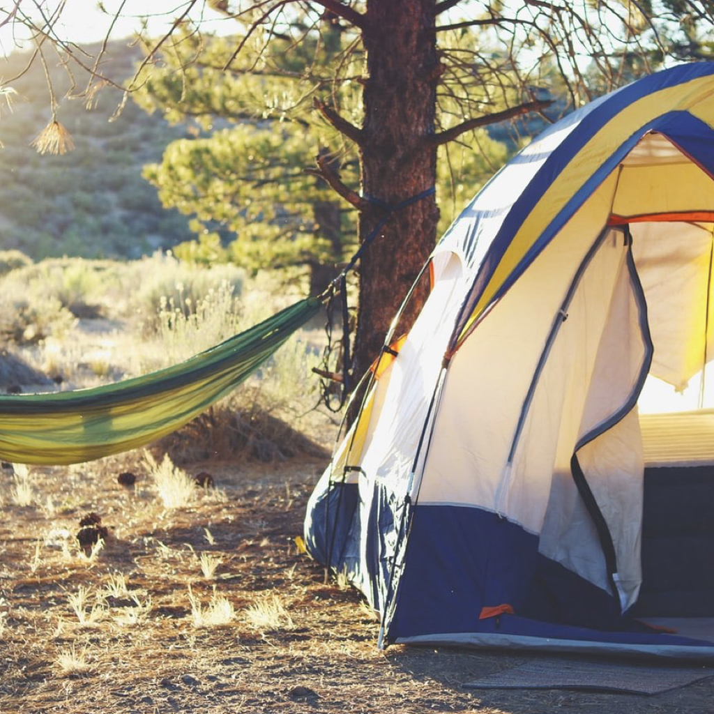 Das Bild zeigt ein Zelt und eine Hängematte mitten im Wald.